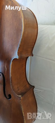 Виолончело Jan Basta cello for sale лък Otto Durrschmidt bow for sale, снимка 6 - Струнни инструменти - 40086733