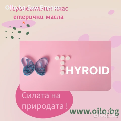 Днес споделяме с вас кои са най-подходящите етерични масла за празнуващите: