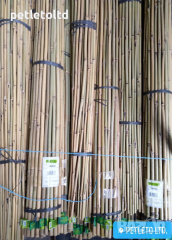 Бамбукови колчета Ф 16 мм - Ф 18 мм / 2,10 метра