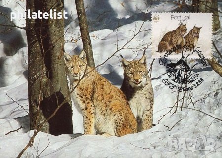 Португалия 1988 - 4 броя Карти Максимум - WWF, снимка 3 - Филателия - 38881731