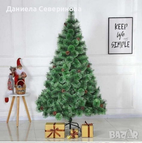 Елха естествено зелена с шишарки