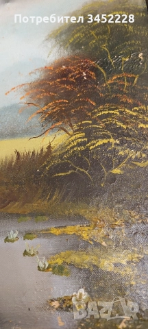 картина платно рамка дървена 65см 55см за ценители , снимка 9 - Картини - 52506076