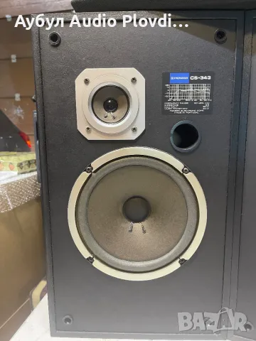 Pioneer CS-343 Тонколони , снимка 3 - Тонколони - 50410086