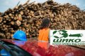 Гарантирано качество от производител - Пелети 100% чиста дървесина , снимка 3