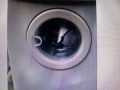 Люк за пералня Gorenje  Съвместим за много модели, снимка 3