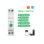ANIMABG Многофункционален смарт Tuya WiFi 1-63A 1P+N електромер,Прекъсвач, Предпазител, снимка 7
