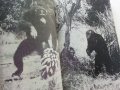 Сред Животните на Африка - Б.Гжимек - 1982г., снимка 6