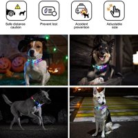 Нов LED светещ нашийник за куче разходка през нощта безопасност USB , снимка 7 - За кучета - 40629073
