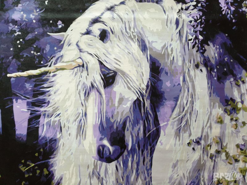 Картина рисувана акрил 40-50см еднорог , снимка 1