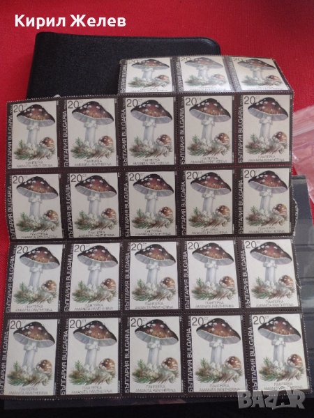 Лот Пощенски марки ГЪБИ ПАНТЕРКА чисти без печат поща България редки за КОЛЕКЦИЯ 33114, снимка 1