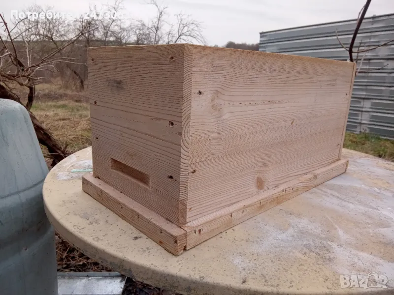 пчели промоция, снимка 1