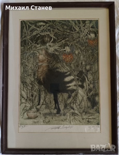 Картина смесена техника - Тодор Петров, снимка 1