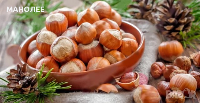 Лешник, снимка 1