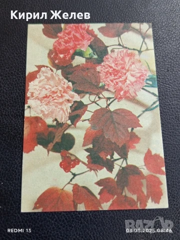 Старо календарче серия ЦВЕТЯ много красиво за КОЛЕКЦИЯ ДЕКОРАЦИЯ 25089