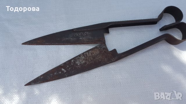 Старинна ножица за стригане на животни, снимка 5 - Антикварни и старинни предмети - 28383853