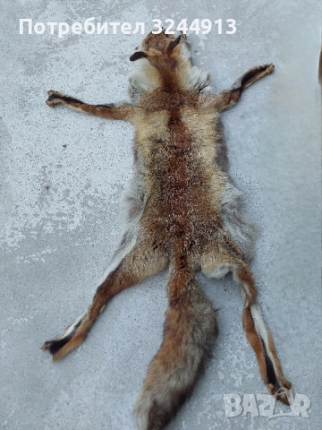 Лисича кожа , снимка 5 - Други стоки за дома - 52309285