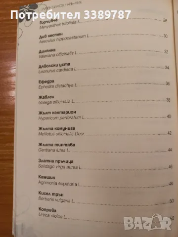Златен билков наръчник - Веселина Стоянова, снимка 4 - Специализирана литература - 49533139