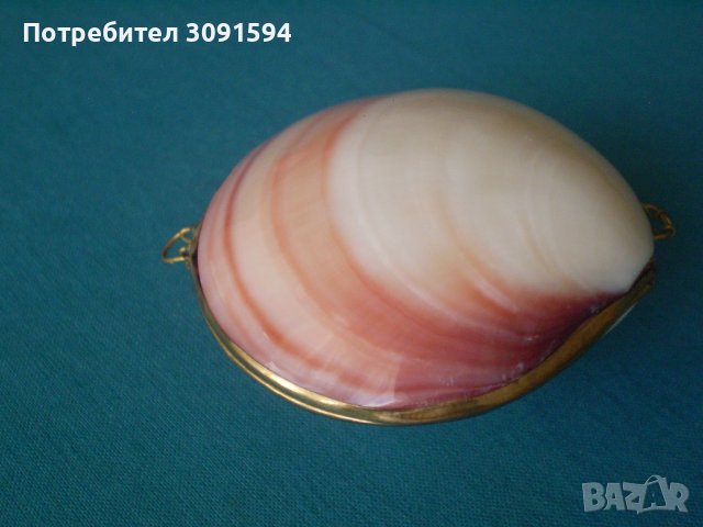 кутия за бижута мида, снимка 14 - Антикварни и старинни предмети - 37924641