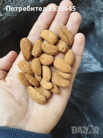 Български: лимец и брашно 5 лв, лен 5 лв, бадеми 21 лв; киноа бяла 10 лв, зелена елда 6 лв , снимка 9 - Домашни продукти - 38577719