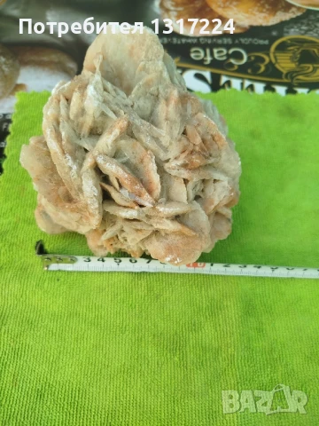 пустинна роза 