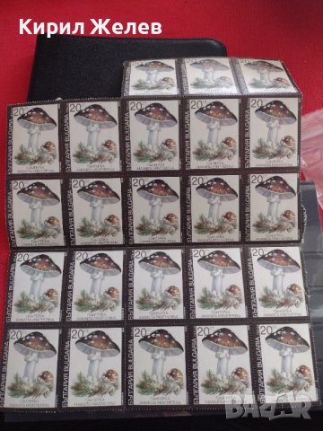 Лот Пощенски марки ГЪБИ ПАНТЕРКА чисти без печат поща България редки за КОЛЕКЦИЯ 33114