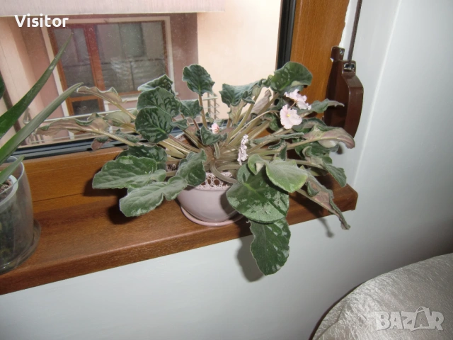 дигитална камера Casio EX-H10  12мРх, снимка 16 - Фотоапарати - 53178045