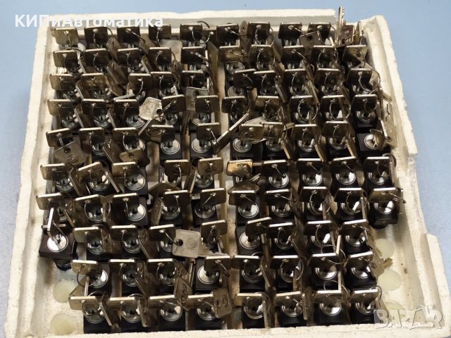 бутон с ключ RAFI 1.15108 keylock switch 250V AC 4A, снимка 8 - Резервни части за машини - 35491073