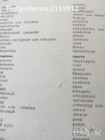Тематичен руско-български речник, снимка 5 - Чуждоезиково обучение, речници - 32019509