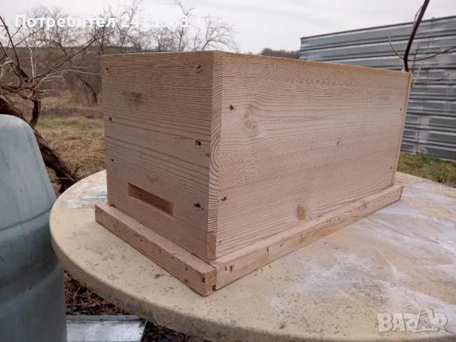 пчели промоция