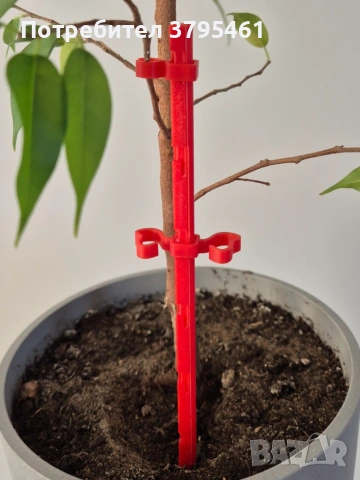 Аксесоари за растения, снимка 6 - Други - 53596515