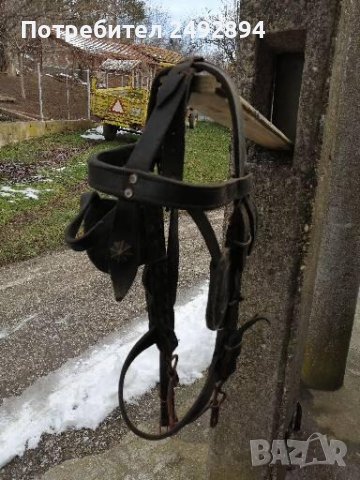 Конски хамут , снимка 9 - Други животни - 37651566