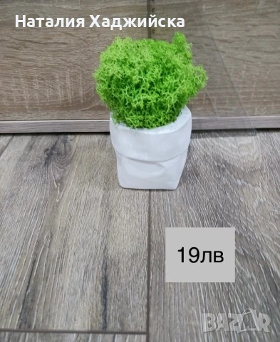 Декоративни кашпи с естествен скандинавски мъх, снимка 9 - Декорация за дома - 51278809