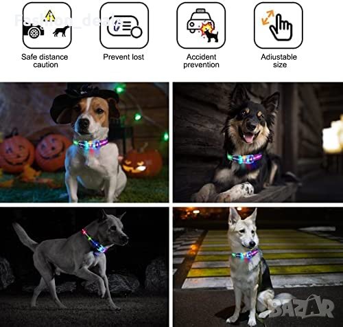 Нов LED светещ нашийник за куче разходка през нощта безопасност USB , снимка 7 - За кучета - 40629073