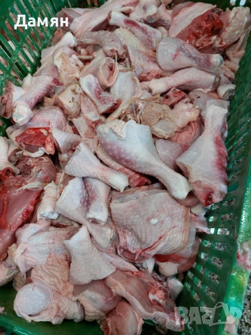 Месо за Домашни любимчи, снимка 3 - За кучета - 53465059
