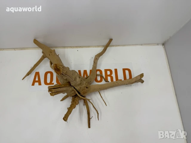 Корен Азалия 24, снимка 2 - Оборудване за аквариуми - 50935119