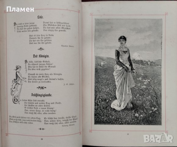 Книга на старонемски език /1860/, снимка 5 - Антикварни и старинни предмети - 44015807