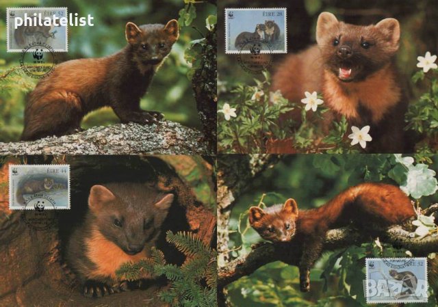 Ейре 1992 - 4 броя Карти Максимум - WWF, снимка 1 - Филателия - 38842455