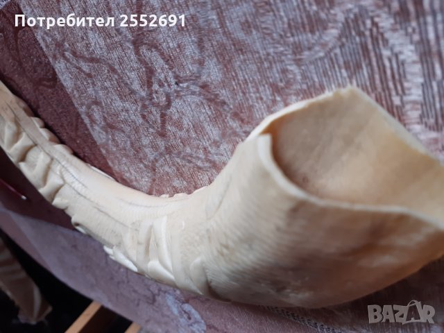 Кост, снимка 2 - Колекции - 28568816