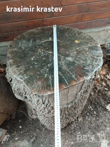 продавам пънове, дървени дънери, снимка 2 - Декорация за дома - 50477499
