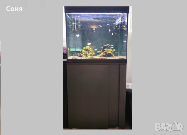 Аквариум с поставка / шкаф EHEIM Vivaline 150 + цялостно оборудване, снимка 4 - Аквариуми - 53072577
