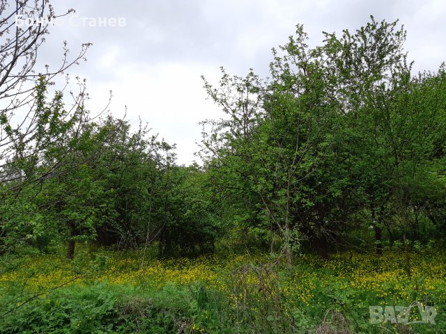 Продавам къща с парцел, снимка 6 - Парцели - 26810812