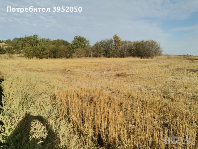 Собственик продава, снимка 2 - Парцели - 51662500