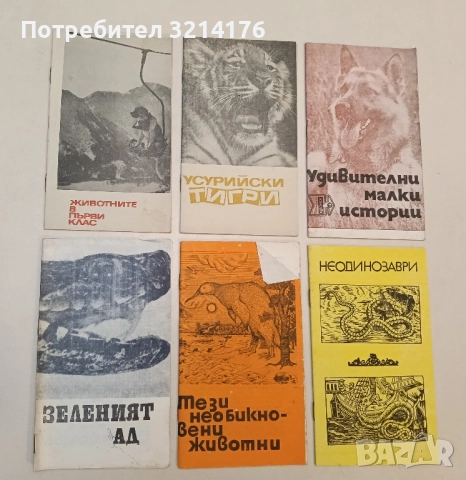 Животните в първи клас – Колектив