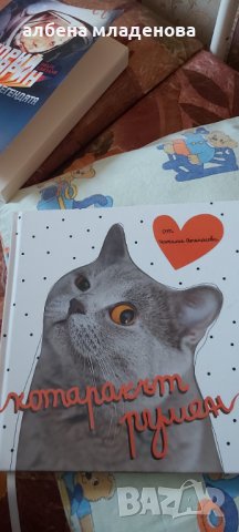 Котаракът Румен