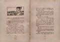 Ева. Скици и впечатления Андрей Протичъ /1907/, снимка 5