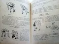 Свободна борба - Райко Петров - 1964г., снимка 6