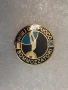 Значка на пожарникари-водолази "Vigili del Fuoco Sommozzatori" Италия., снимка 3