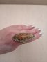Невероятно красив Арт Деко прьстен с имитация на кехлибар, снимка 6