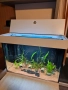 Аквариум аквариум, снимка 2