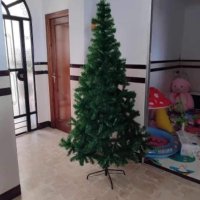 Коледна елха/ борче със зелени връхчета , снимка 2 - Декорация за дома - 43020767